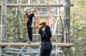 When Should You Wear a Full-Body Harness?