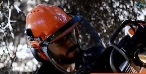 Forestry and Logging Hearing Protection