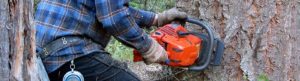 Forestry and Logging Hearing Protection